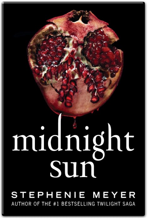 Midnight Sun Summary