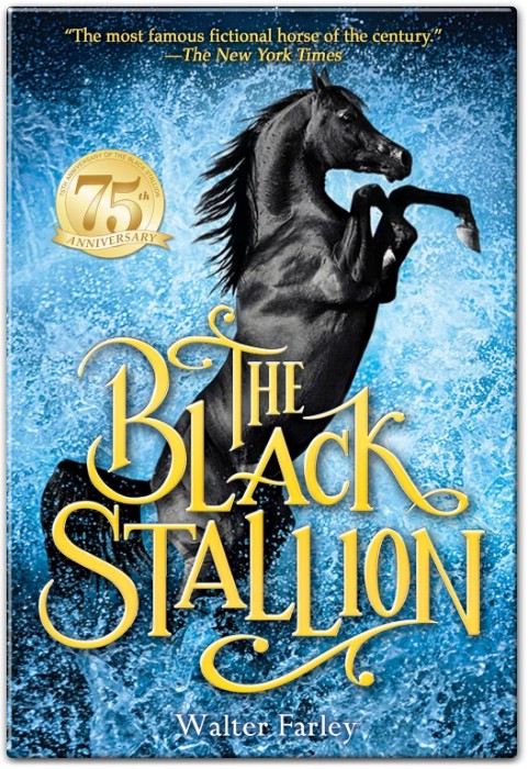 The Black Stallion Summary