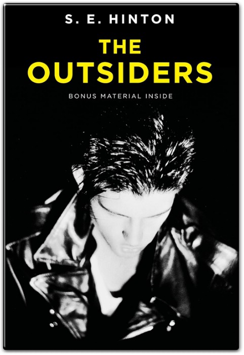 The Outsiders Summary