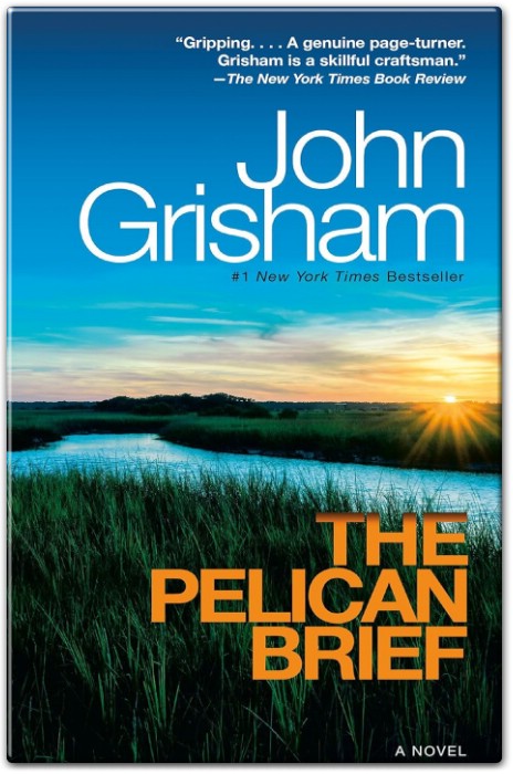 Introduction: The Pelican Brief Summary