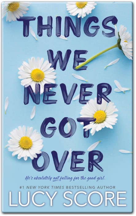 Things We Never Got Over Summary