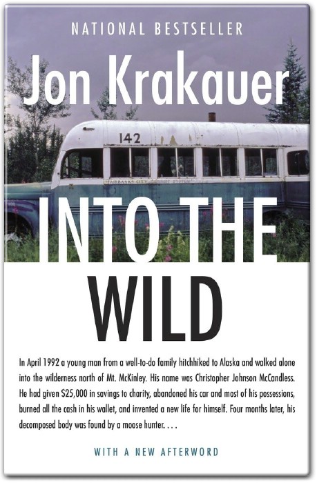 Into the Wild Summary