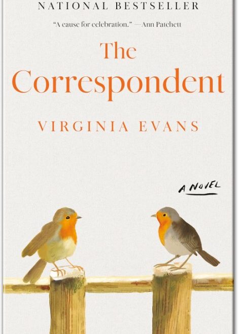 The Correspondent Book Summary